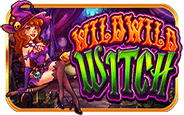 Wild Wild Witch